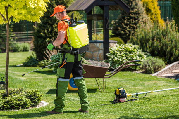 Best Lawn Pest Control  in Camdenton, MO